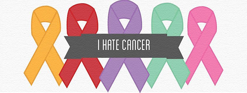 From the "I Hate Cancer" Facebook Page