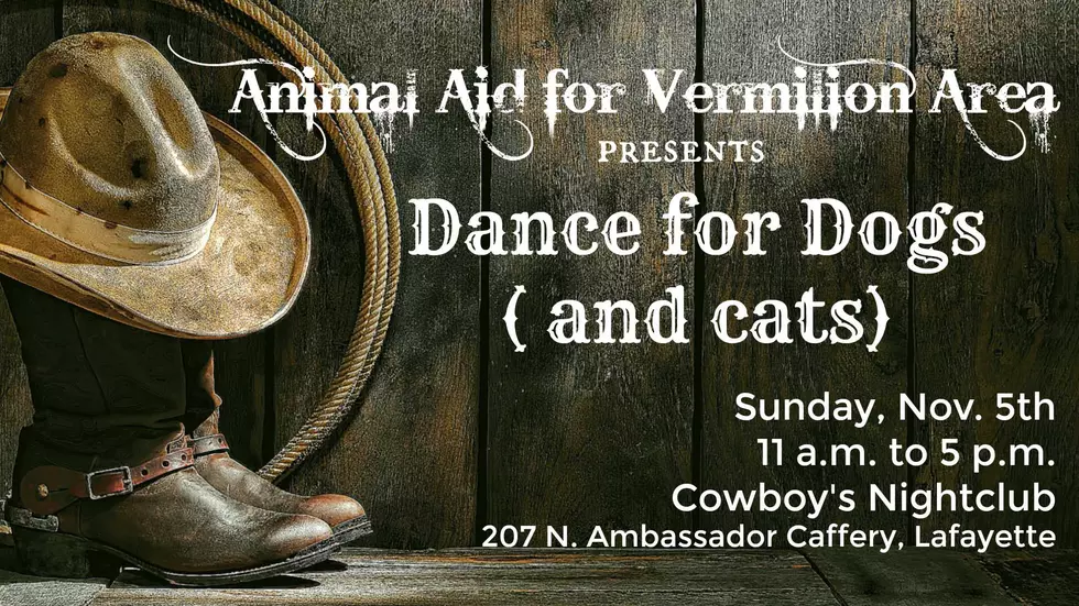 Dance for Dogs (and Cats)