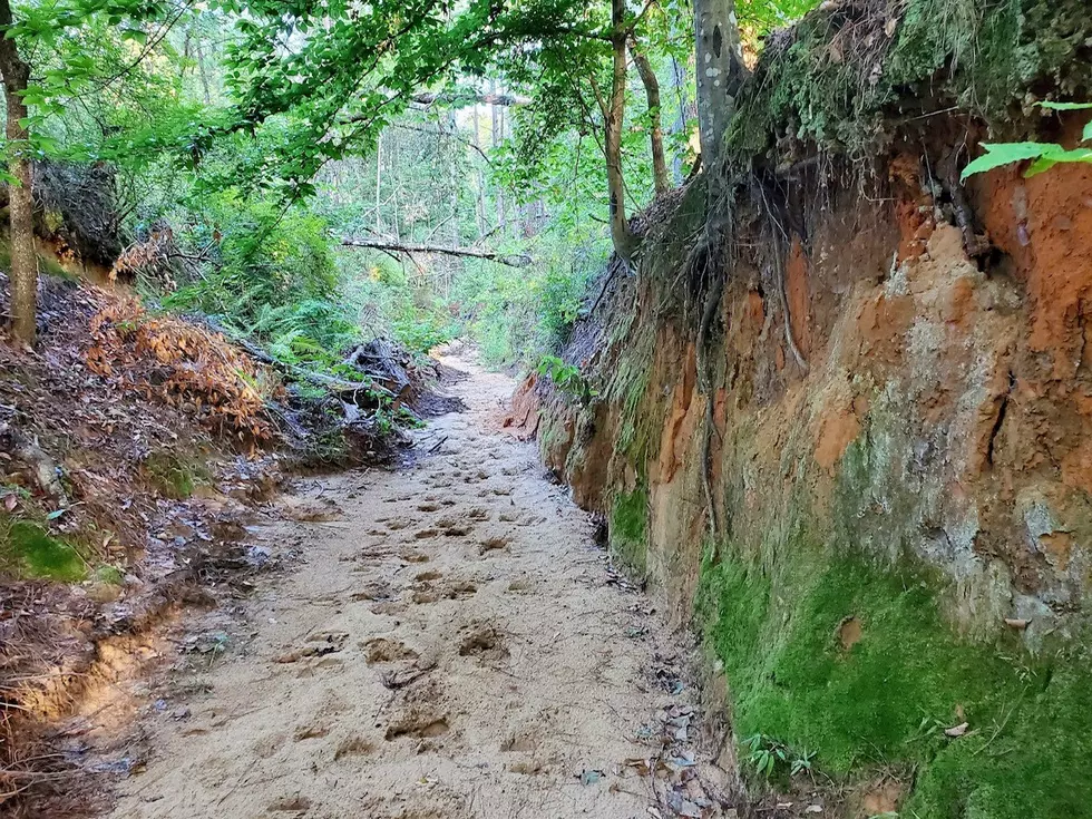 Magnificent 2.5-Mile Canyon in Louisiana—So Unknown Google Maps Doesn’t Even List It
