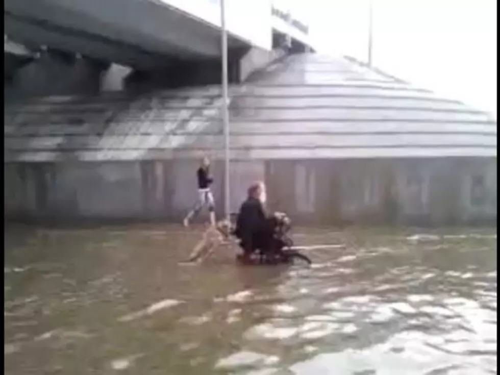 Dog Pushing a Guy in Wheelchair Down a Flooded Street [Video]