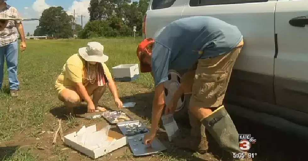 The ‘New Acadia Project’ Moving Forward In St. Martin And Iberia Parish