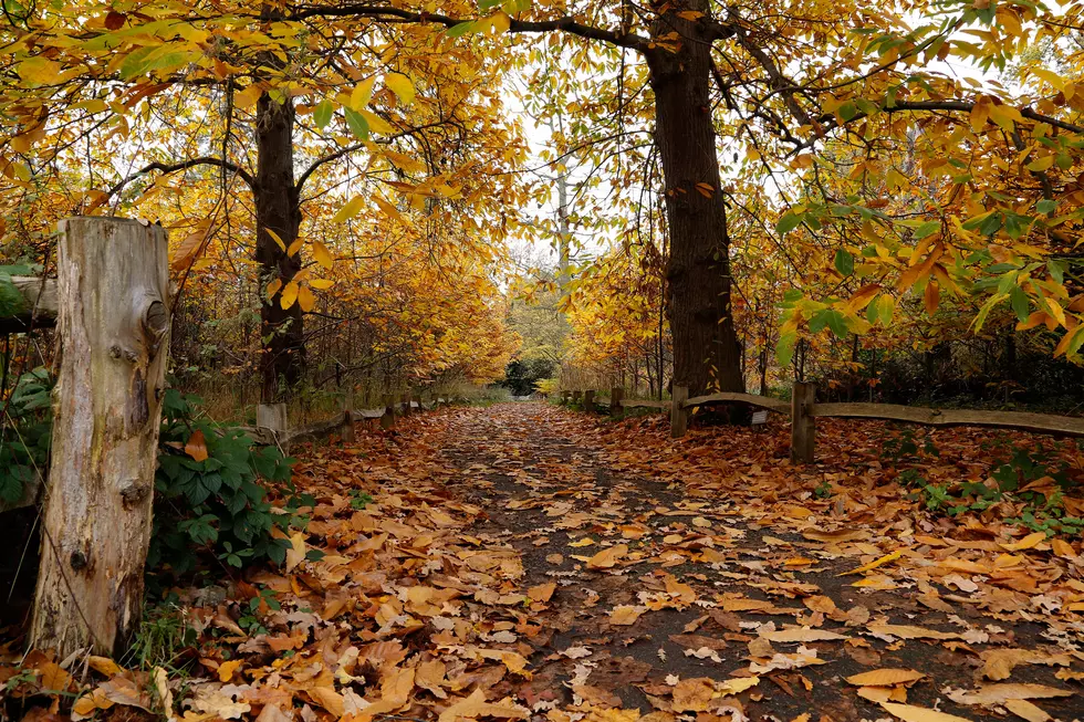 Feels Like Fall in Louisiana This Morning – How Long Will It Last?