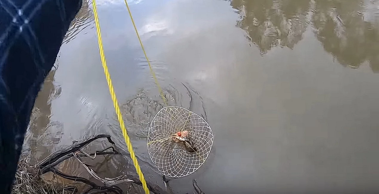 robbiefishing Via YouTube