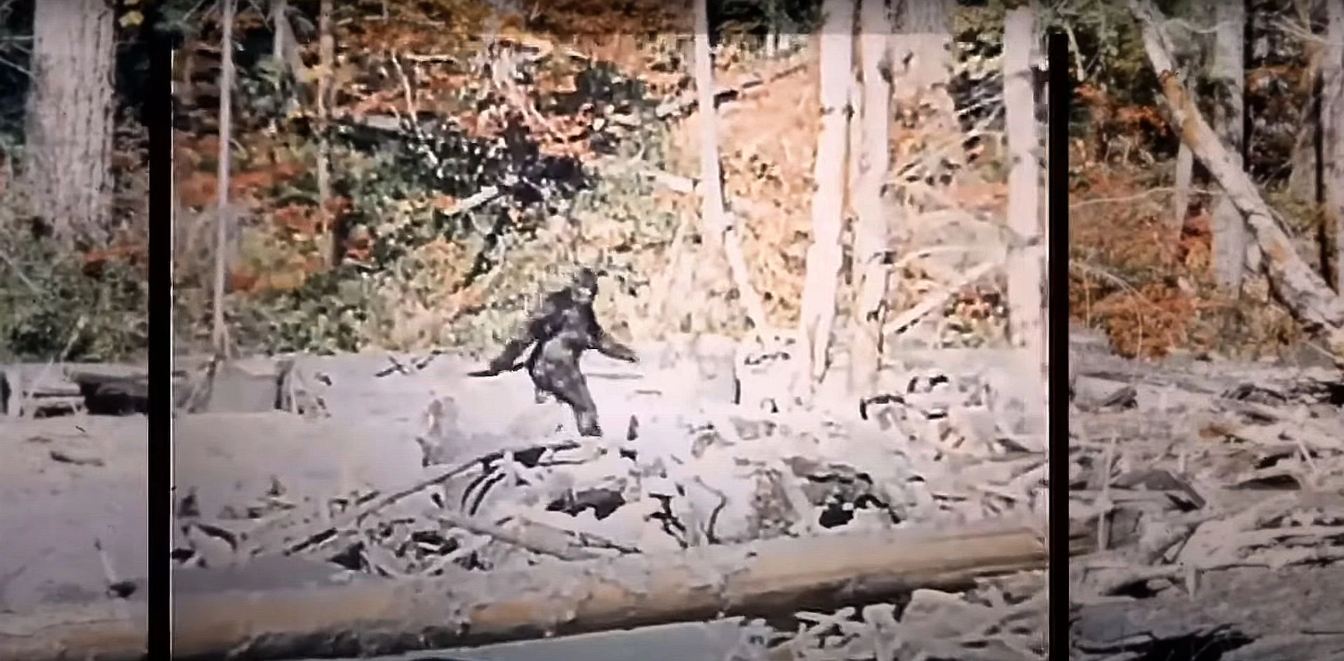 Bigfoot HD