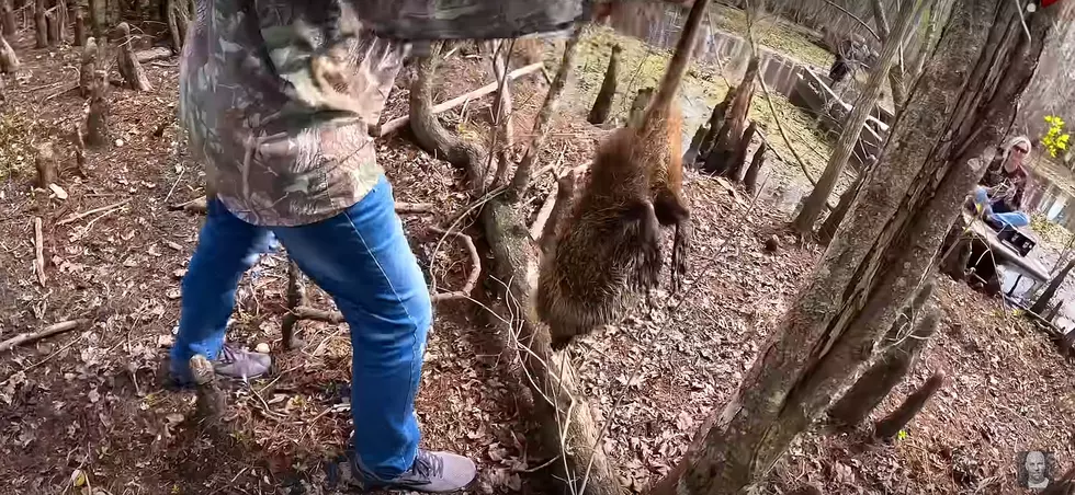 Louisiana Couple Cooks Fresh Nutria Over Rice for YouTuber