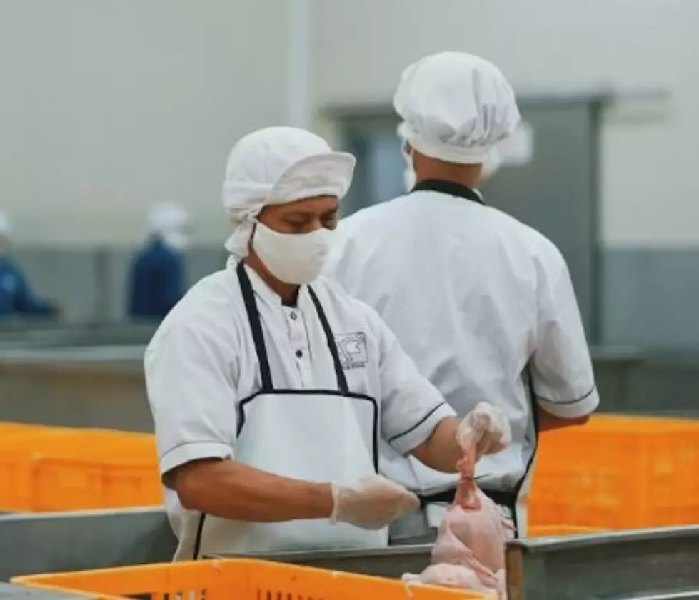‘Tons of Fish’ Sold in Louisiana, Gulf South, Recalled