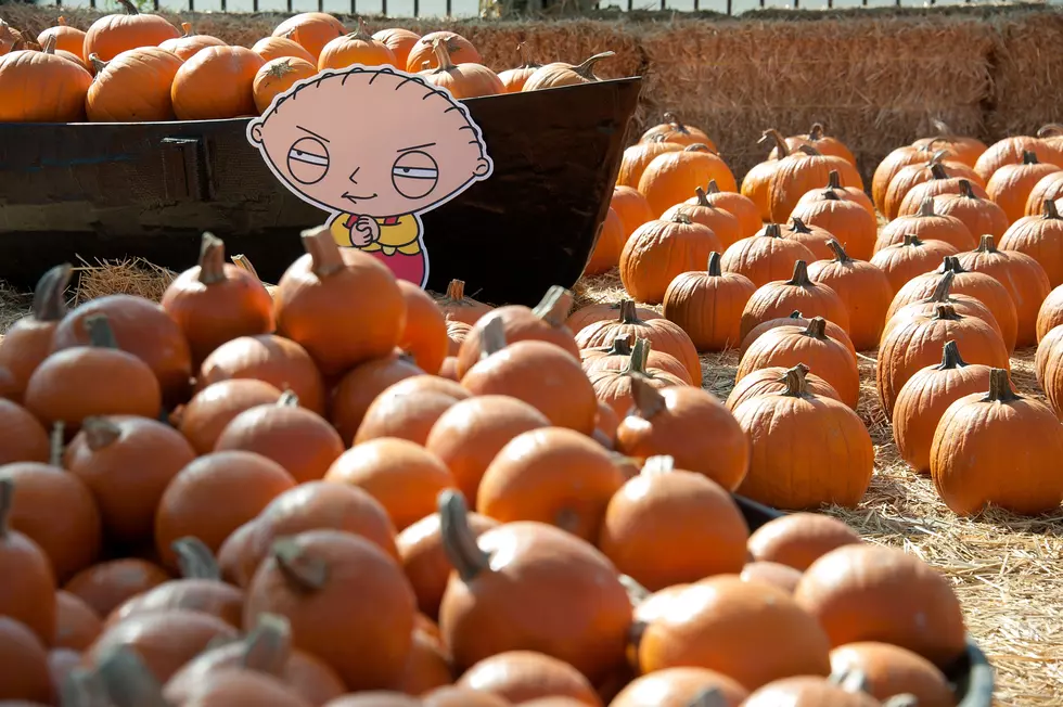 Lafayette Pumpkin Patch Opening Delayed