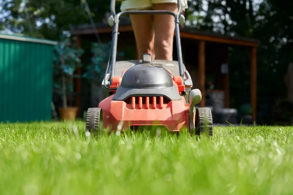 Cutting Wet Grass in Louisiana: Do’s and Don’ts